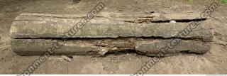 tree bark 0017